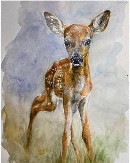 “First Light” Watercolor on paper, 9 x 12 in Wide-eyed and wobbly, a young fawn stands at the edge of morning