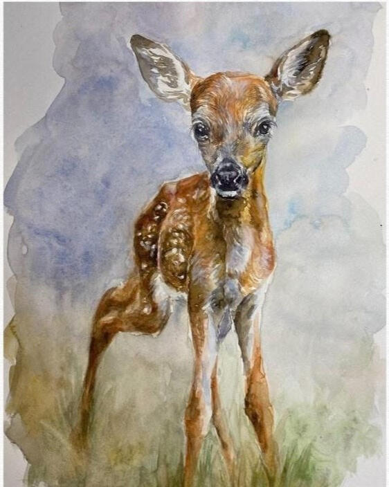 Fawn | 11x14 | Watercolor