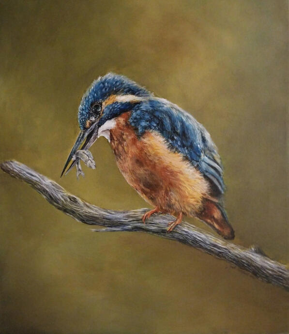 “Still and Swift” Acrylic on canvas, 16 x 20 in A kingfisher pauses mid-hunt, its catch held delicately in a daggered beak. Framed by soft, golden hues, this piece captures the quiet tension between stillness and motion.