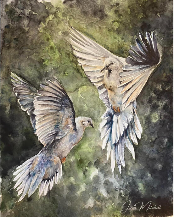 “Peaceful Morning” Soft light filters through a mossy canopy as two mourning doves rise in gentle flight, their wings catching whispers of gold and slate. A moment of quiet grace suspended in motion—tender, wild, and full of breath. Watercolor 11x14