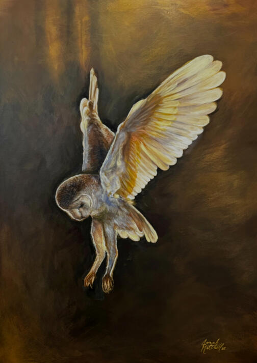 Nocturne In Amber