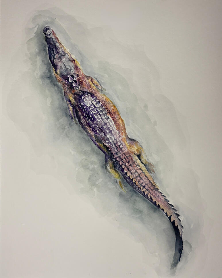 In the Swamp | 16x20 | Watercolor