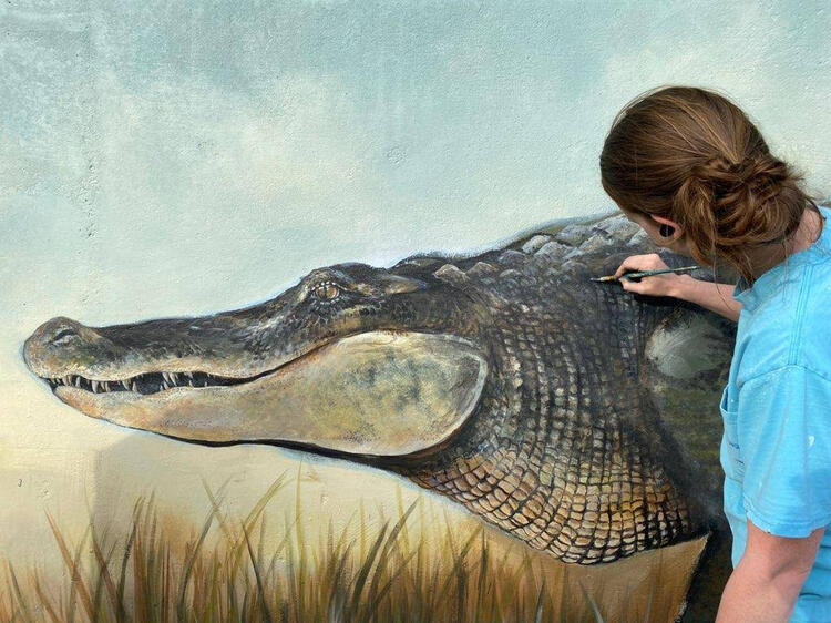 A snapshot from the locally famous Knight Ave. mural. The alligator is the eye-catching centerpiece of this 165' mural.