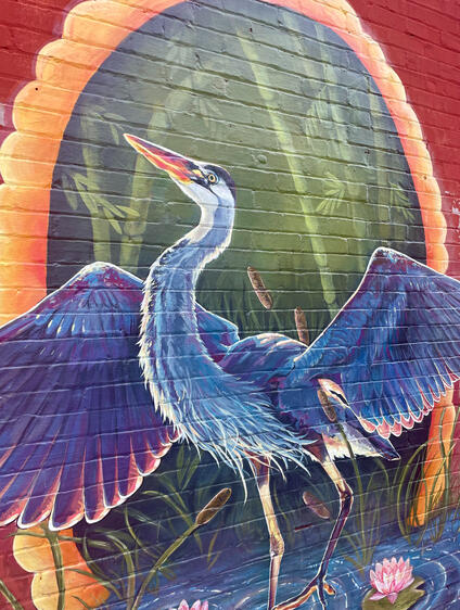 A great blue heron- this mural is located in Downtown Waycross. Assistant Taylor-Ann Laumann