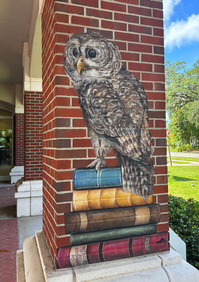 Wisdom- this mural is located at the entrance of the Waycross Library. It is one of 3 murals at this location.