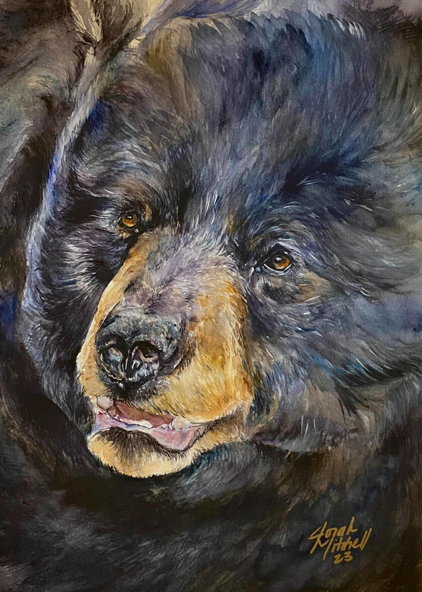 Blackwater Bear Prints